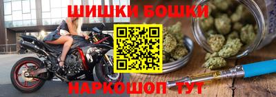 дмт Аргун