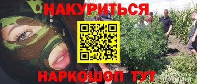 дмт Аргун