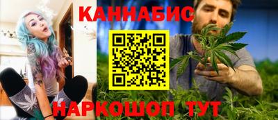 дмт Аргун